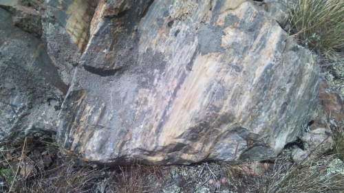 Гигантские зелёные валуны для ландшафтного дизайна весом более 5 тонн купить в Кунгуре