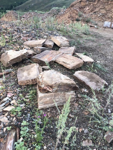 Пошаговая дорожка из плит златолит кора дерева купить в Кунгуре